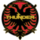Dandenong Thunder SC logo