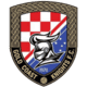 Gold Coast Knights logo