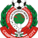 Campbelltown City logo