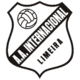 Inter de Limeira logo
