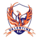 Valentine Phoenix logo