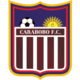 Carabobo FC logo