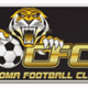 Tigers FC logo