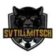 SV Tillmitsch logo