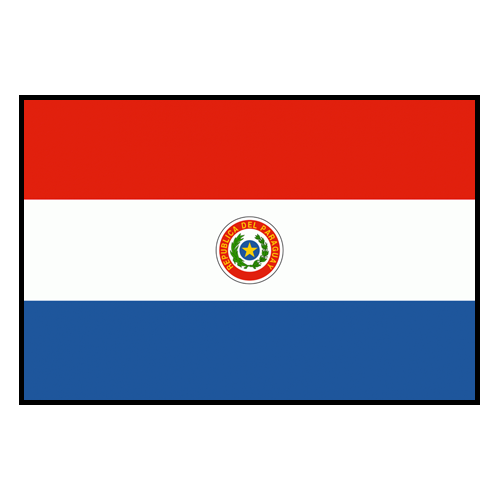 Paraguay logo