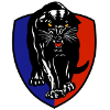 South Adelaide Reserves logo