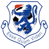 Launceston United (W) logo