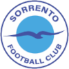 Sorrento F.C. logo