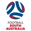 FFSA NTC Girls Reserves (W) logo