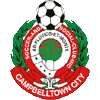 Campbelltown City Reserves (W） logo