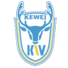 Dalian Kewei logo