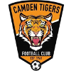 Camden Tigers (W) logo