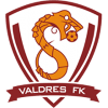 Valdres FK U19 logo