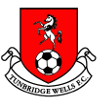 Tunbridge Wells logo