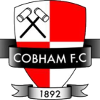 Cobham logo
