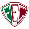 Fluminense PI (Youth) logo
