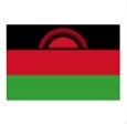 Malawi (W) logo