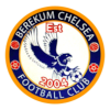 Berekum Chelsea logo