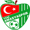 Yeni Amasya Spor logo