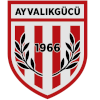 Ayvalikgucu Belediyespor logo