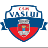 Vaslui logo