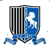 Ihud Bnei Jat logo