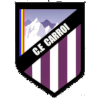 CE Carroi logo