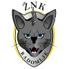 ZNK Radomlje (W) logo