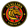 Stallions FC logo