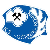 Gornik Konin logo