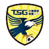 Tainan City Steel logo