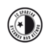 Spartak Rychnov logo