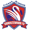 Chimaltenango FC logo