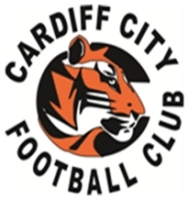 Cardiff City (AUT) logo