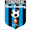 Thal Assling logo