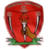 Sawmer SC logo