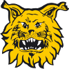 Ilves II (W) logo