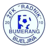 ZFK Radnik Bumerang (W) logo