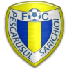 Pescarusul Sarichioi logo
