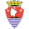 SC Regua logo