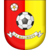 TJ Malinovo logo