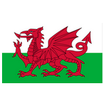 Wales U19 logo