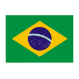 Brazil (W) logo