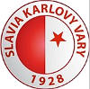Karlovy Vary B logo