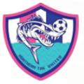 Northern Tak United logo