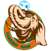 Pluakdaeng United logo