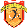 TJ Dvorniky - Vcelare logo