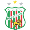 Baraunas RN U20 logo