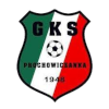 GKS Prochowiczanka Prochowice logo