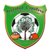 Juventud Copalera logo
